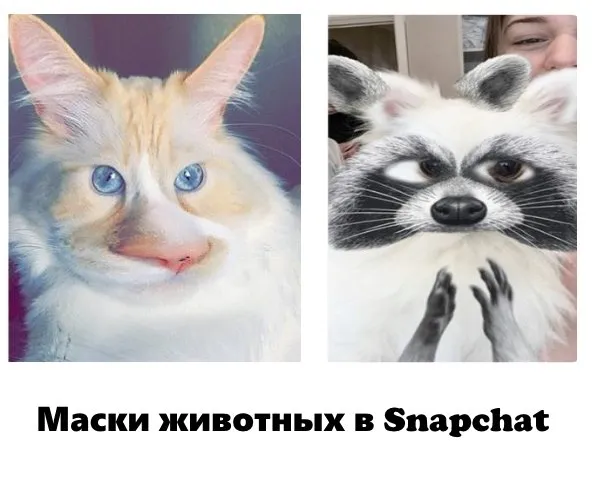 Маски животных Snapchat