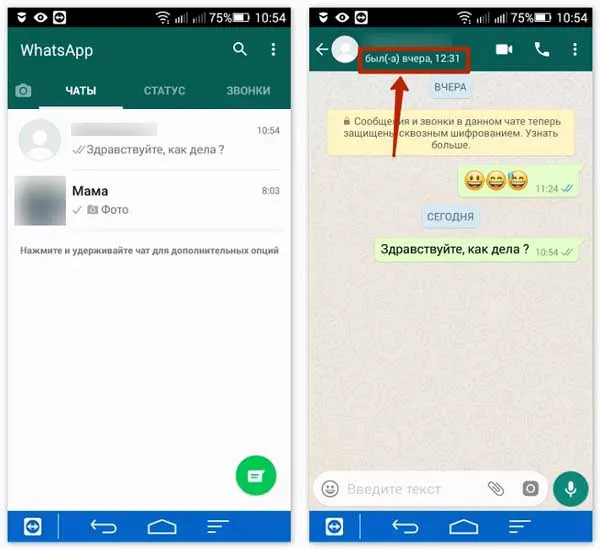 последнее время открытия WhatsApp