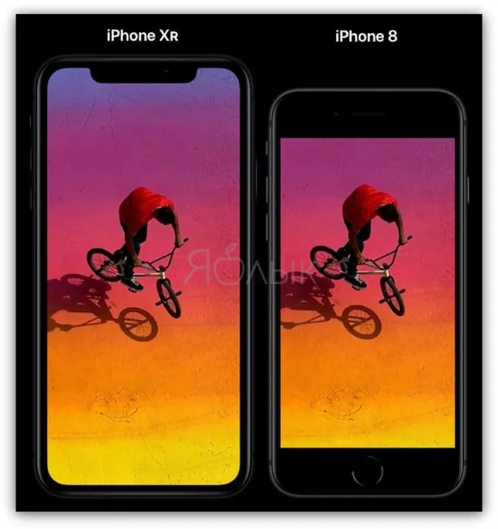 Сравнение размеров iPhone XR и iPhone 8