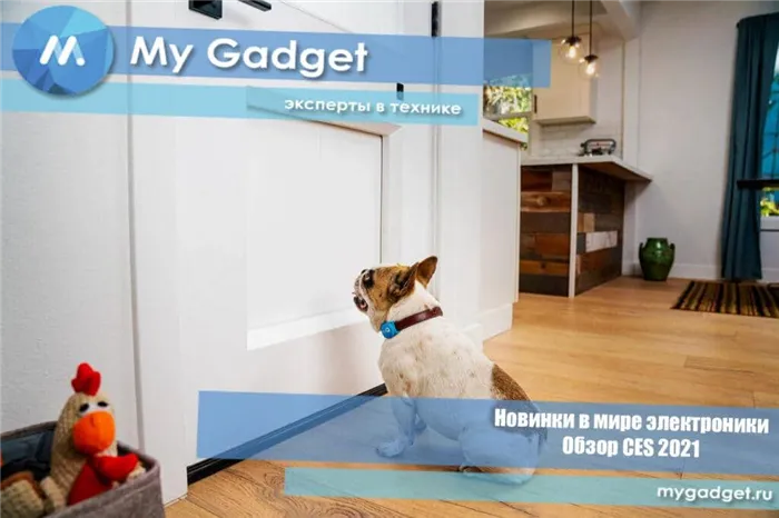 myQ Pet Portal — дверь-автомат для домашних питомцев
