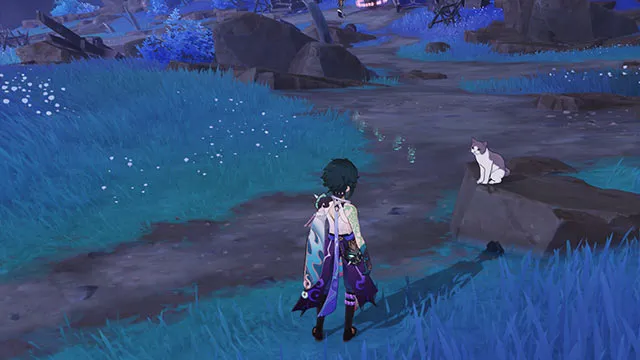 Кошачьи следы в святилище: квест Genshin Impact 