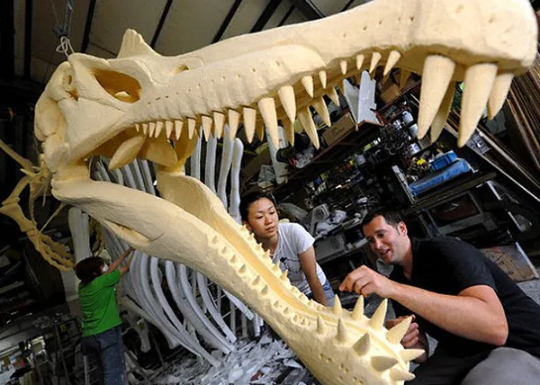 Модель черепа спинозавра с зубами.