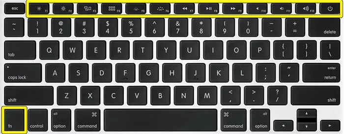 Как разблокировать клавиатуру на компьютере: клавиши, переподключение и другое