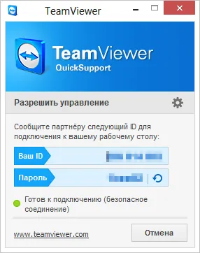 Главное окно TeamViewer Quick Support