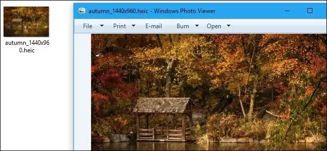 Как открыть файлы HEIC в Windows (или преобразовать их в JPEG) 4