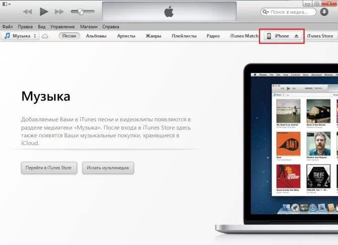 iTunes