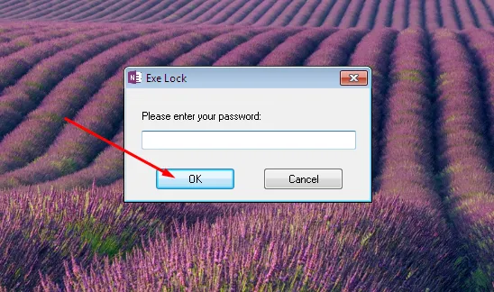 Ввод пароля 