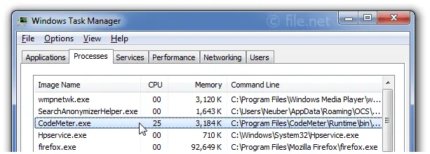 Windows Task Manager with CodeMeter