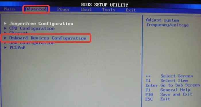 V razdele Advanced perehodim k opcii Onboard Device Configuration i otkryvaem nazhatiem Enter
