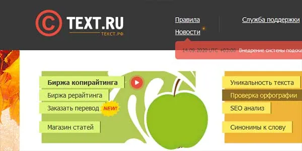 Сайт text.ru