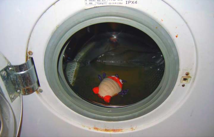 Застой воды в стиральной машине