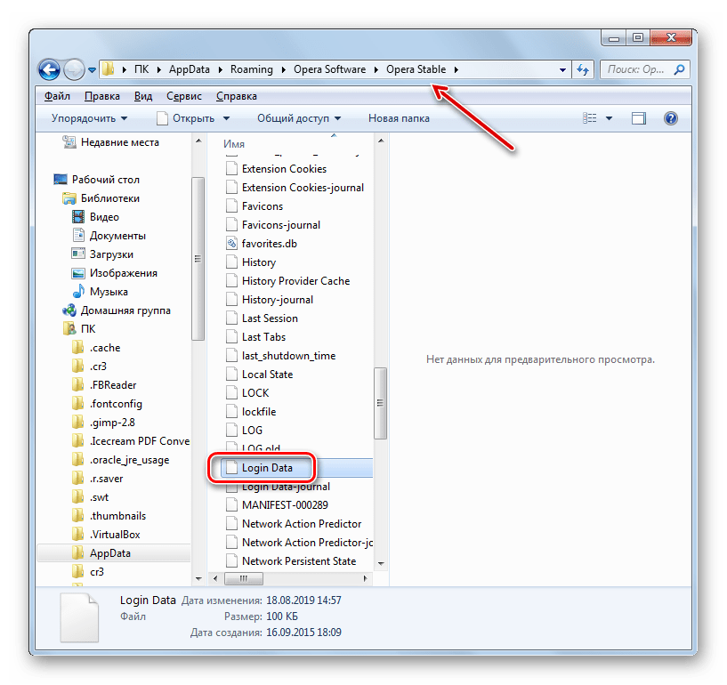 Файл данных для входа в папку профиля браузера Opera в окне проводника Windows